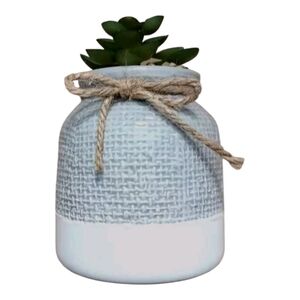 Old East Main Co. Faux Imitation Fake Succulent Plant & Ceramic Vase Gray White